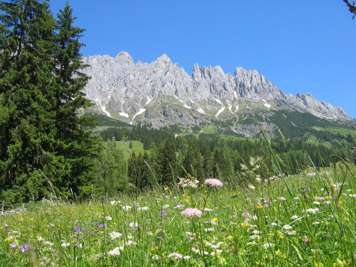 Appartementhaus Hochkoenig 1 - Mandlwandblick Muhlbach Am Hochkonig Exterior photo