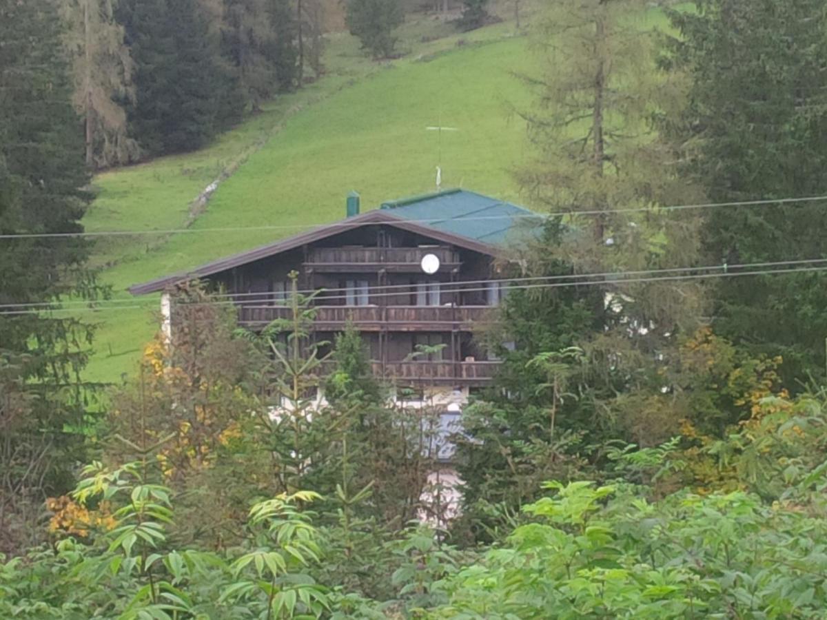 Appartementhaus Hochkoenig 1 - Mandlwandblick Muhlbach Am Hochkonig Exterior photo