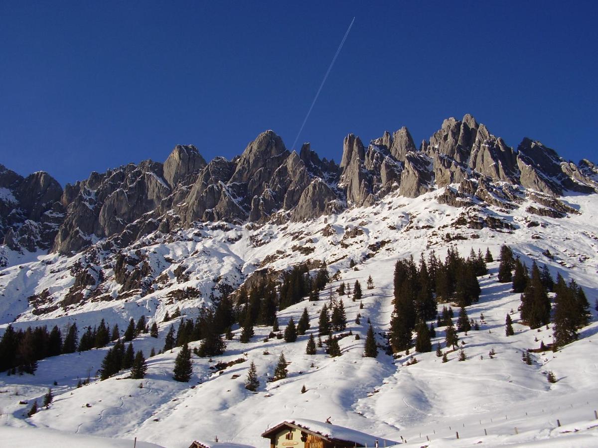 Appartementhaus Hochkoenig 1 - Mandlwandblick Muhlbach Am Hochkonig Exterior photo